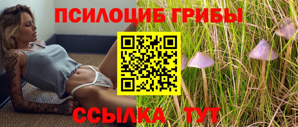 Псилоцибиновые грибы Magic Shrooms  Вход с VPN  Каспийск  Псилоцибиновые грибы Psilocybe 